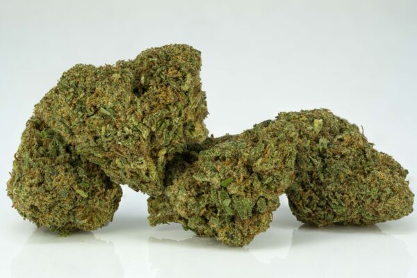 Sour Haze strain stacked
