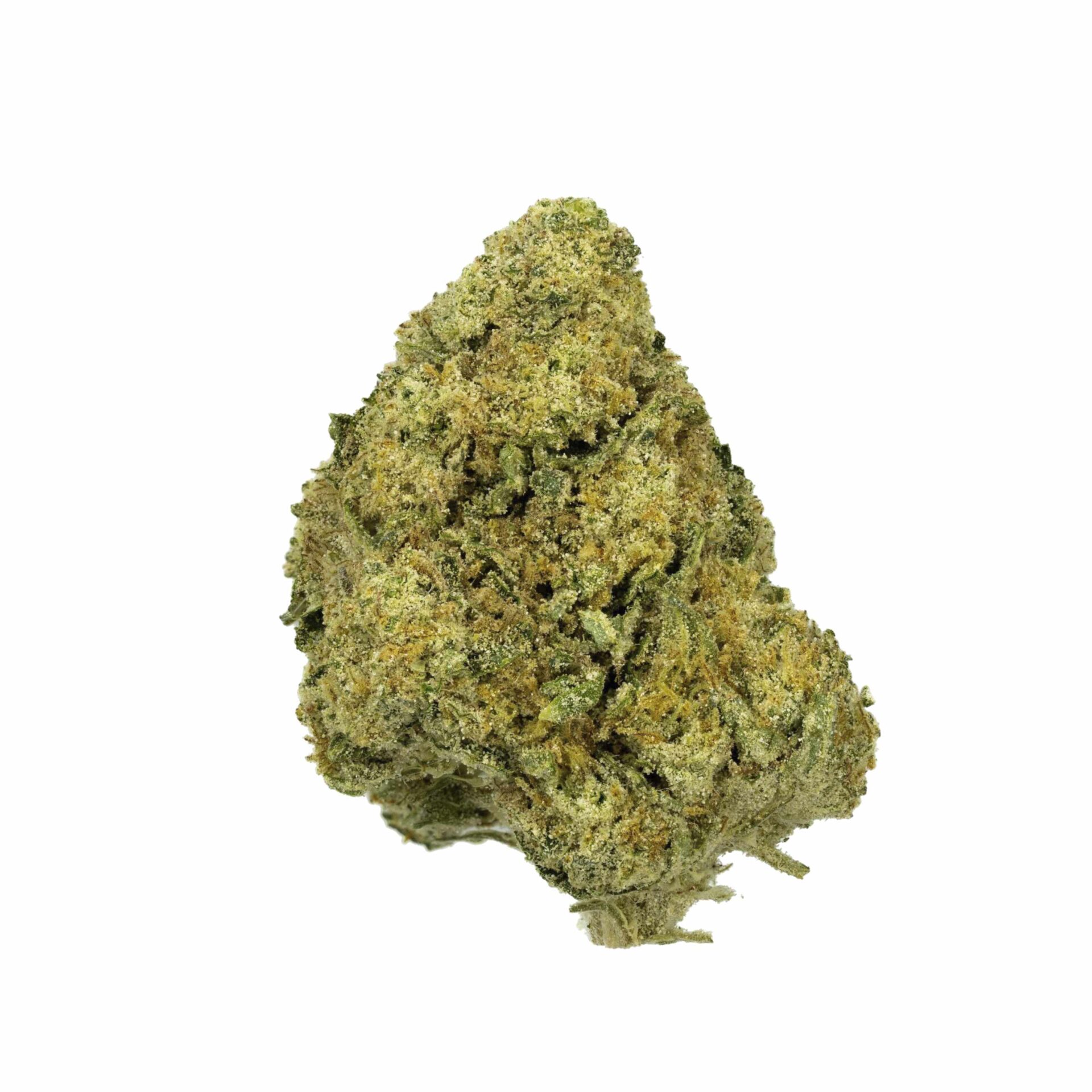 white cbg flower