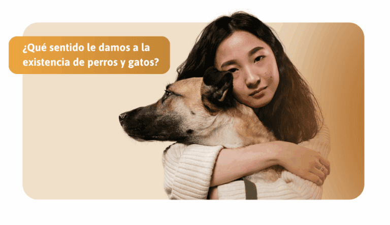 Qué sentido le damos a la existencia de perros y gatos