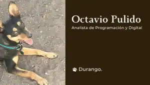 Octavio Pulido