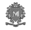 AMIC Logo