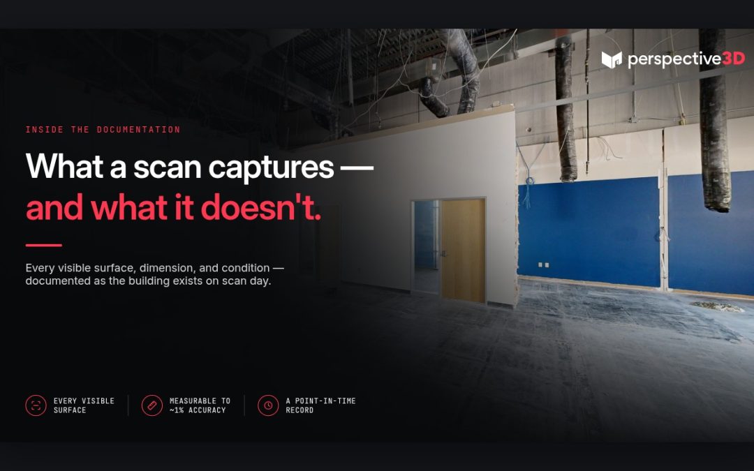 What does a 3D scan capture?