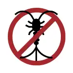 insect 6 - with bg