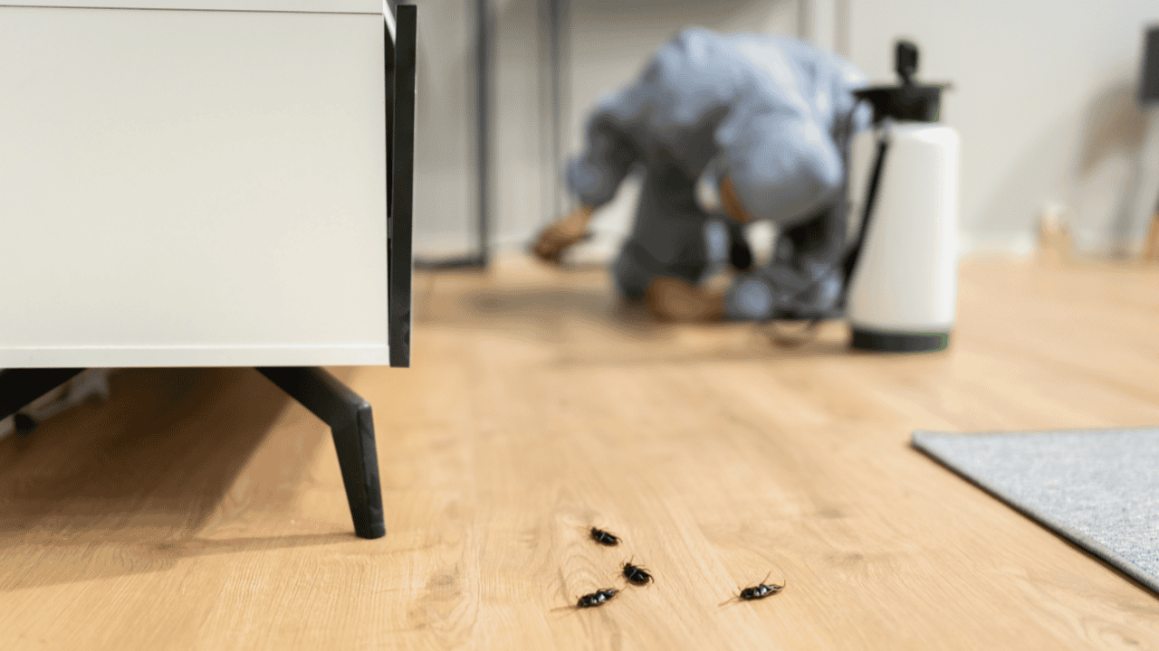 Residentials-Pest-Control-Services