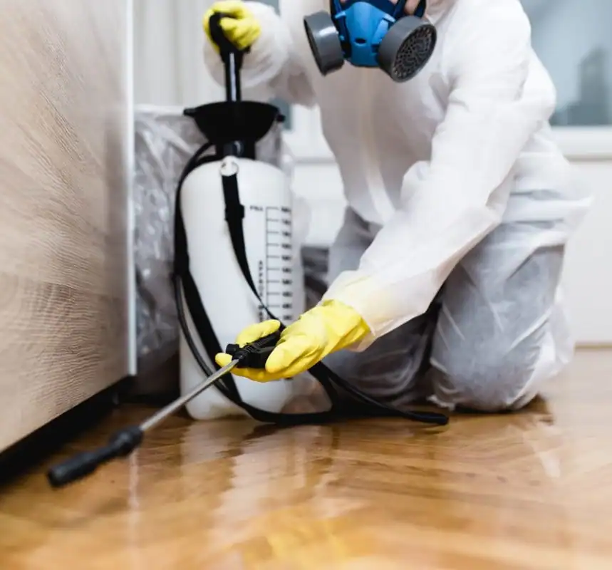 Pest-Control