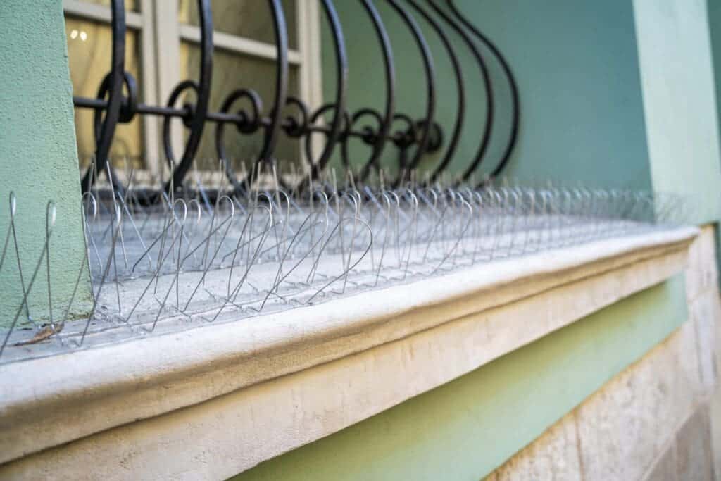 Bird Proofing Slough