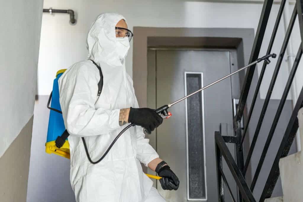 Business Hygiene Slough