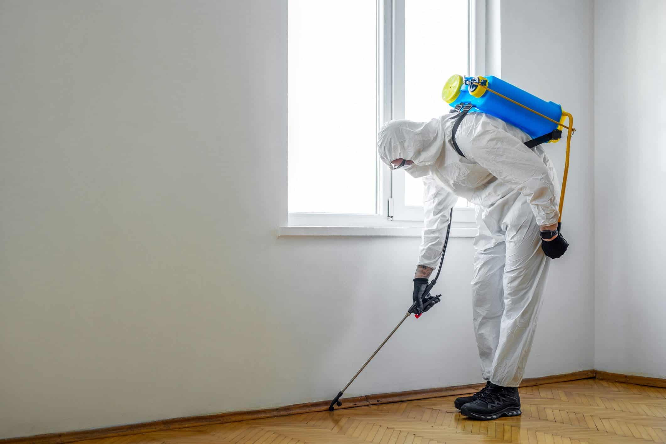 Disinfectant and Hygiene