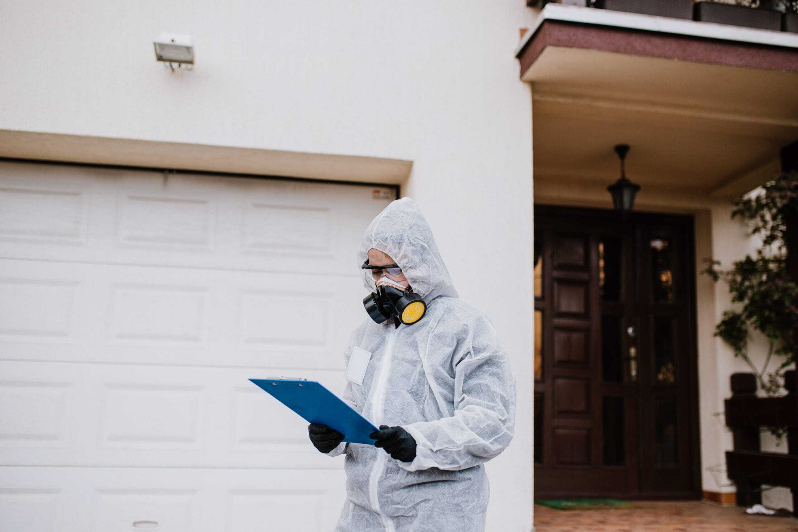 Insect Control Solutions Slough - Pest Dominion, Pest Control Services Slough Insect Control Solutions Slough