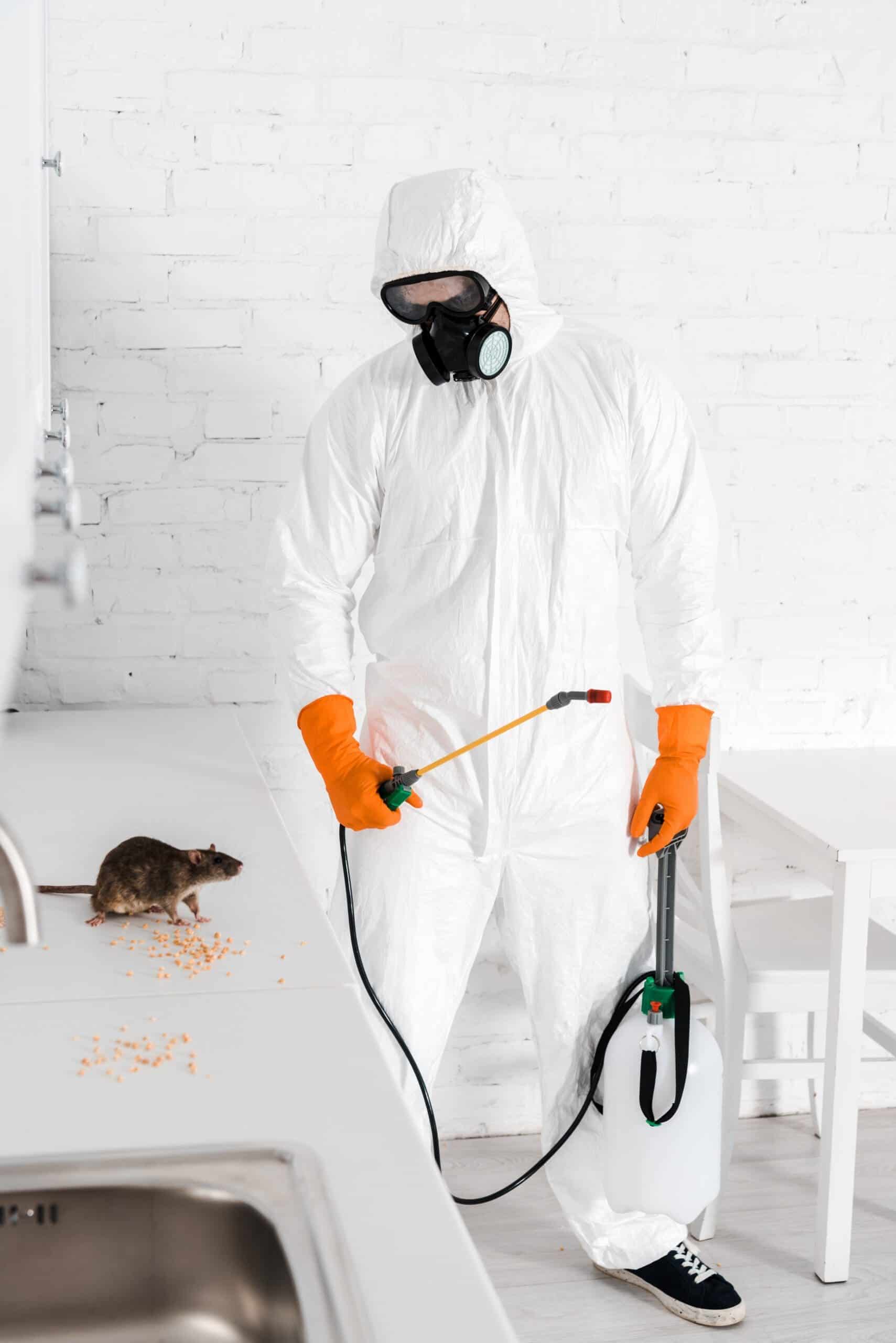 Pest Control Experts Uxbridge