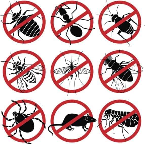 Pest Proofing Slough