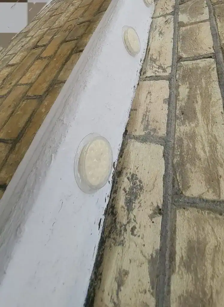 Bird-Free-Gel-scaled - Pest Dominion, Pest Control Services Slough Non-toxic bird solution