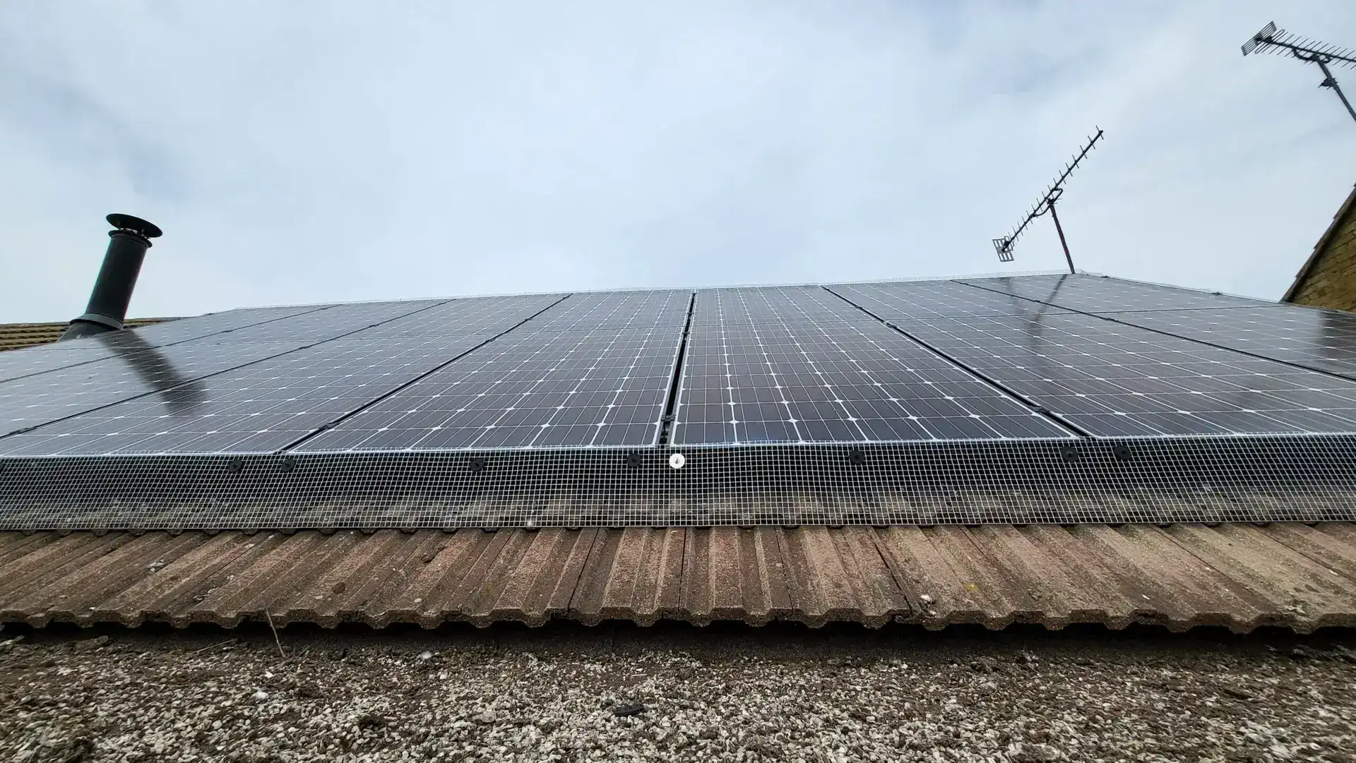 Solar-Panel-Mesh-Pigeon-Proofing-scaled - Pest Dominion, Pest Control Services Slough