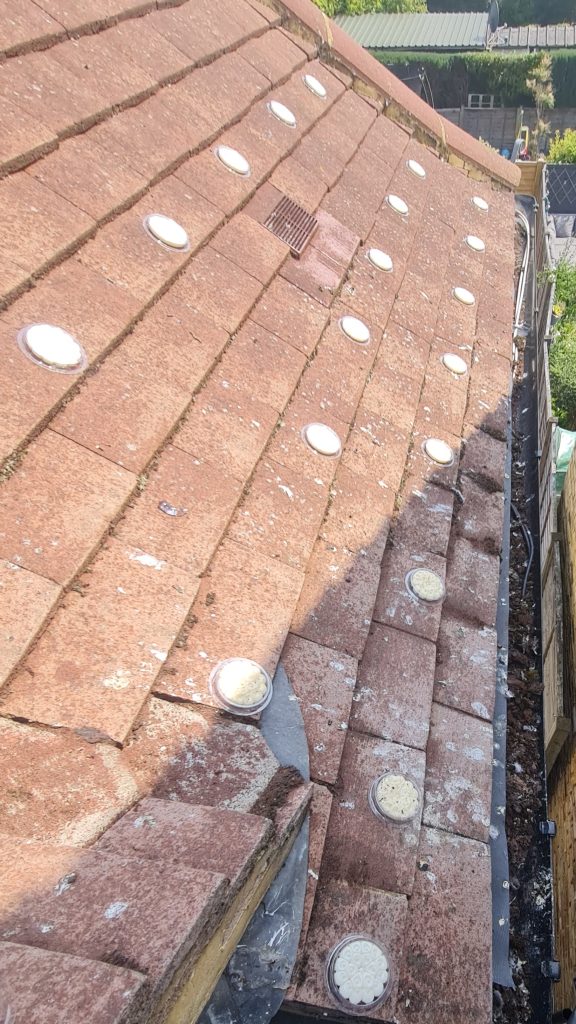 Bird gel - Pest Dominion, Pest Control Services Slough Where spikes failed bird gel worked