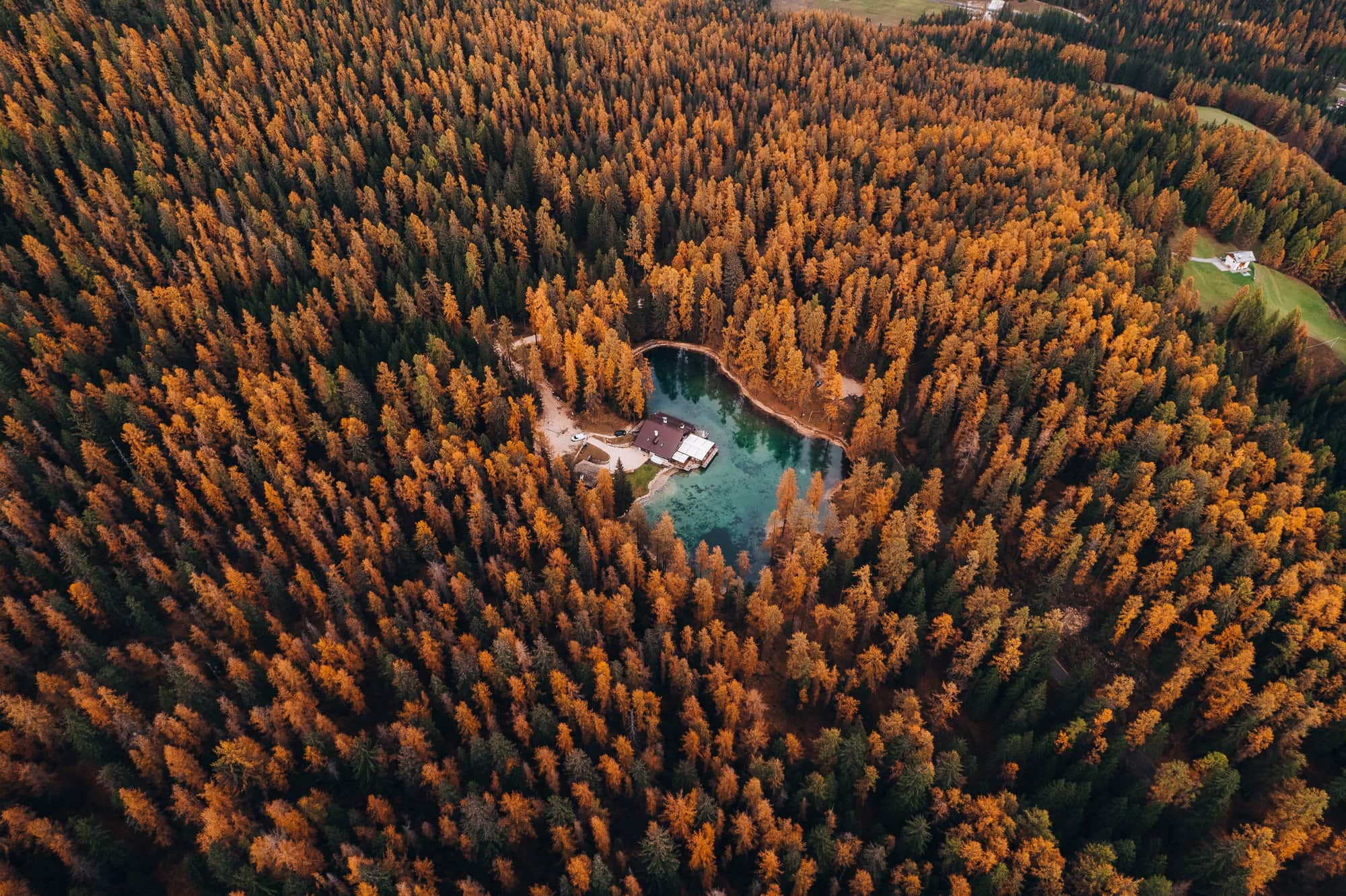 Lake in the middle of the forest