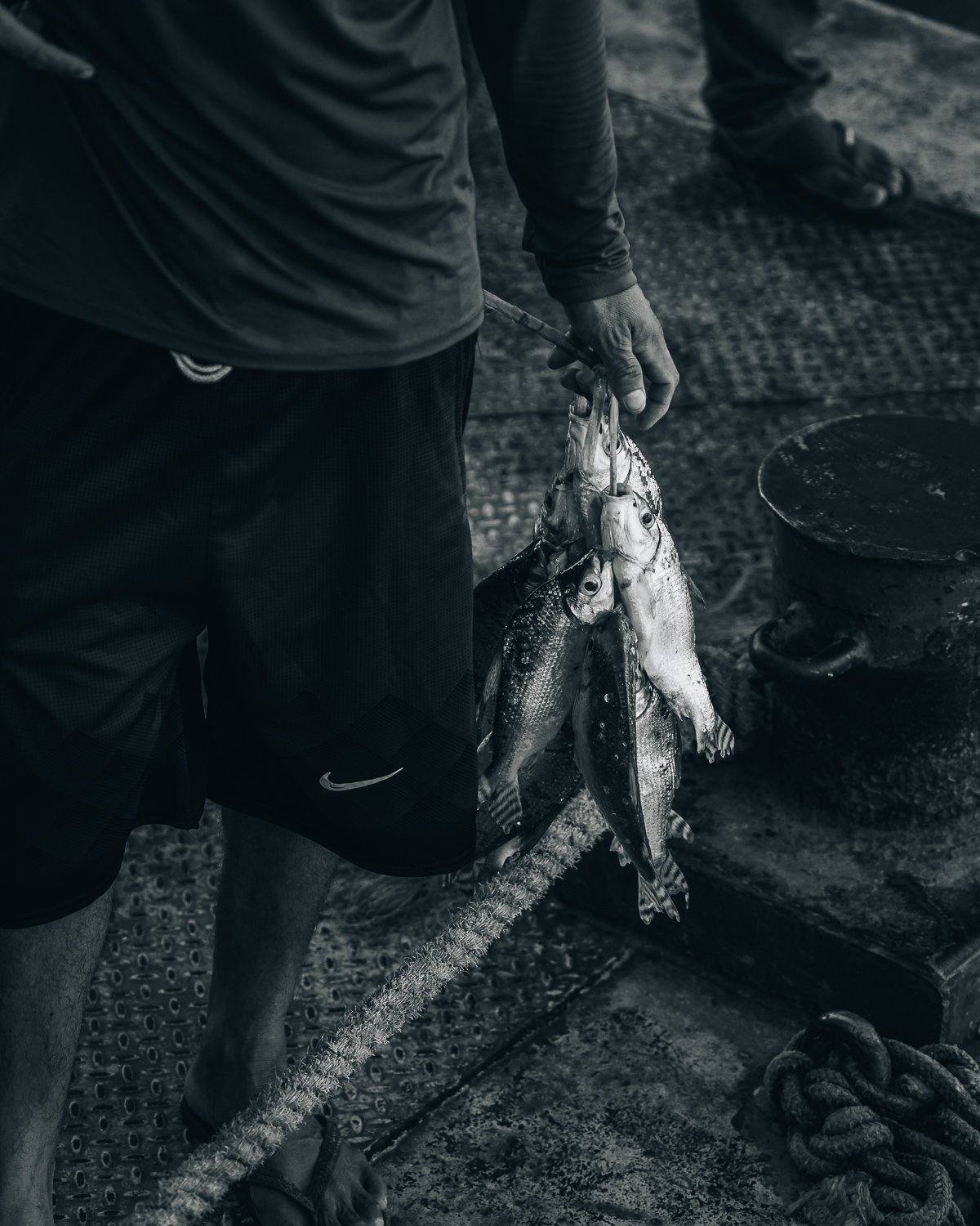 Man holding a pile of fish