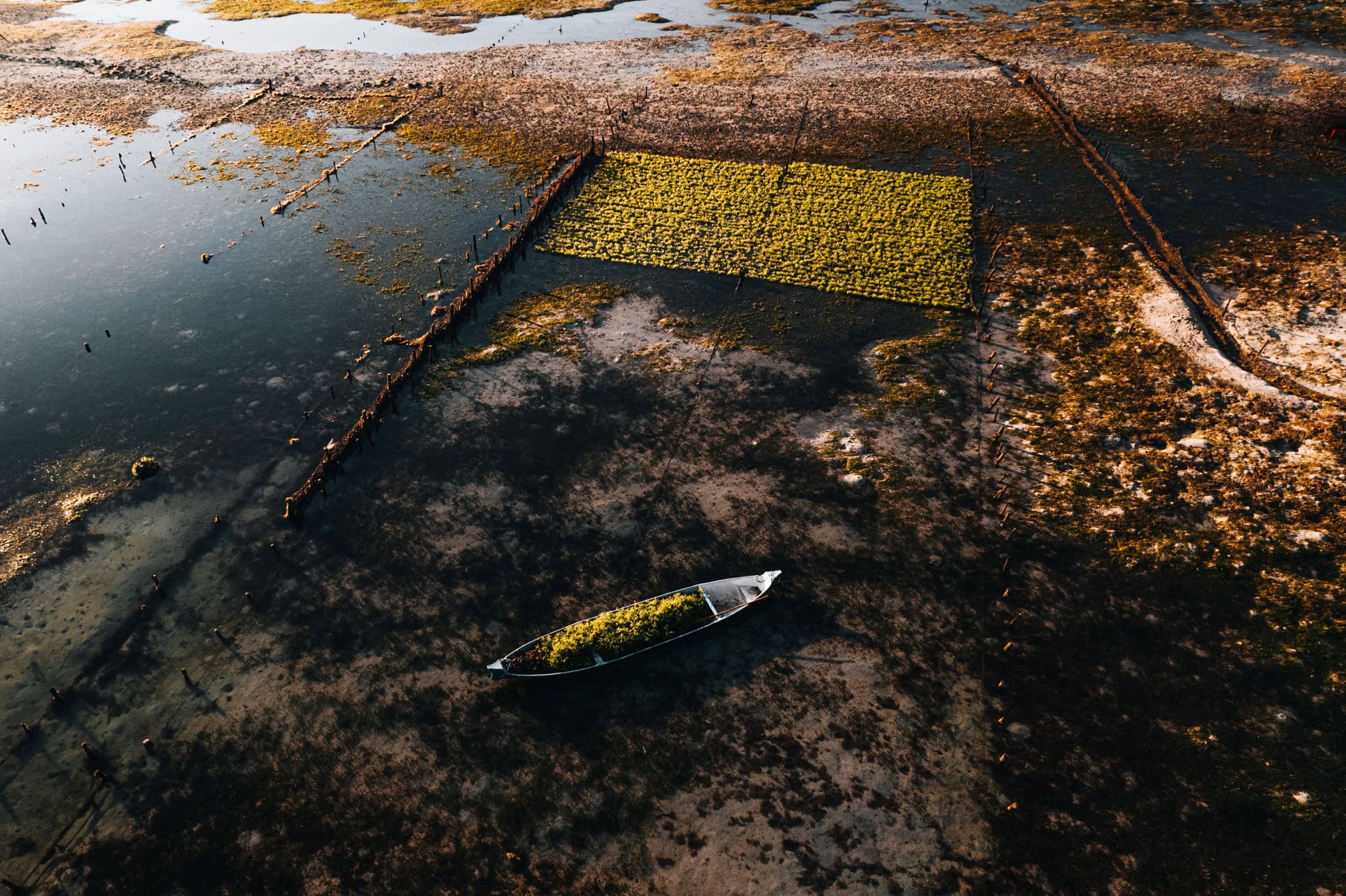 Seaweed Farms with a boat on the side