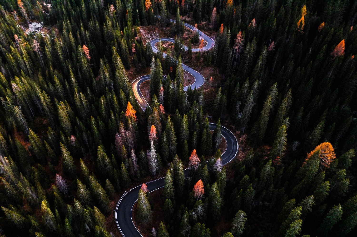 Curvy road through autumn forest
