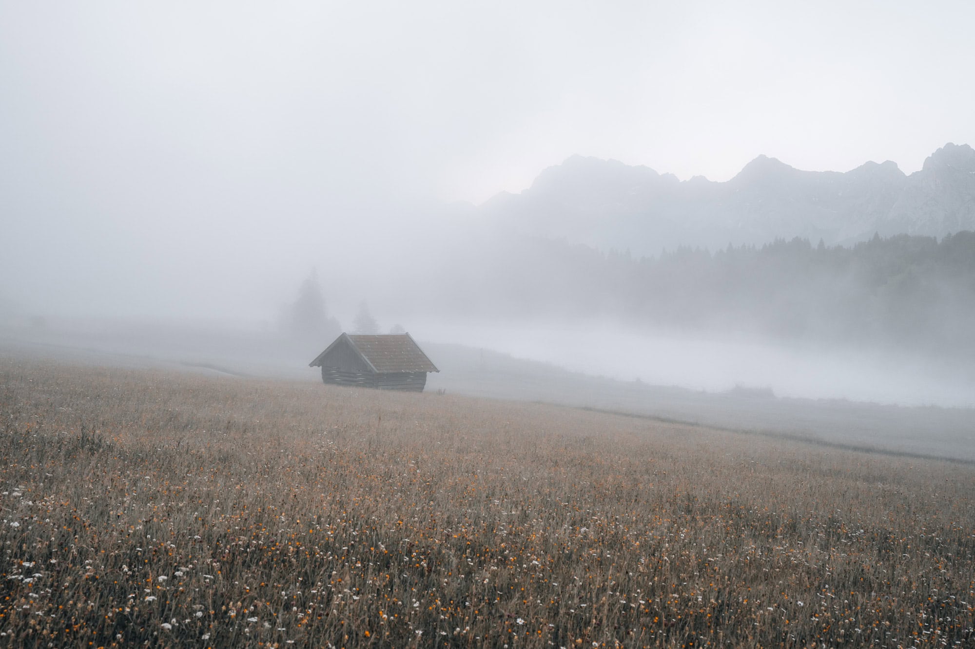 Fog during sunrise at Geroldsee