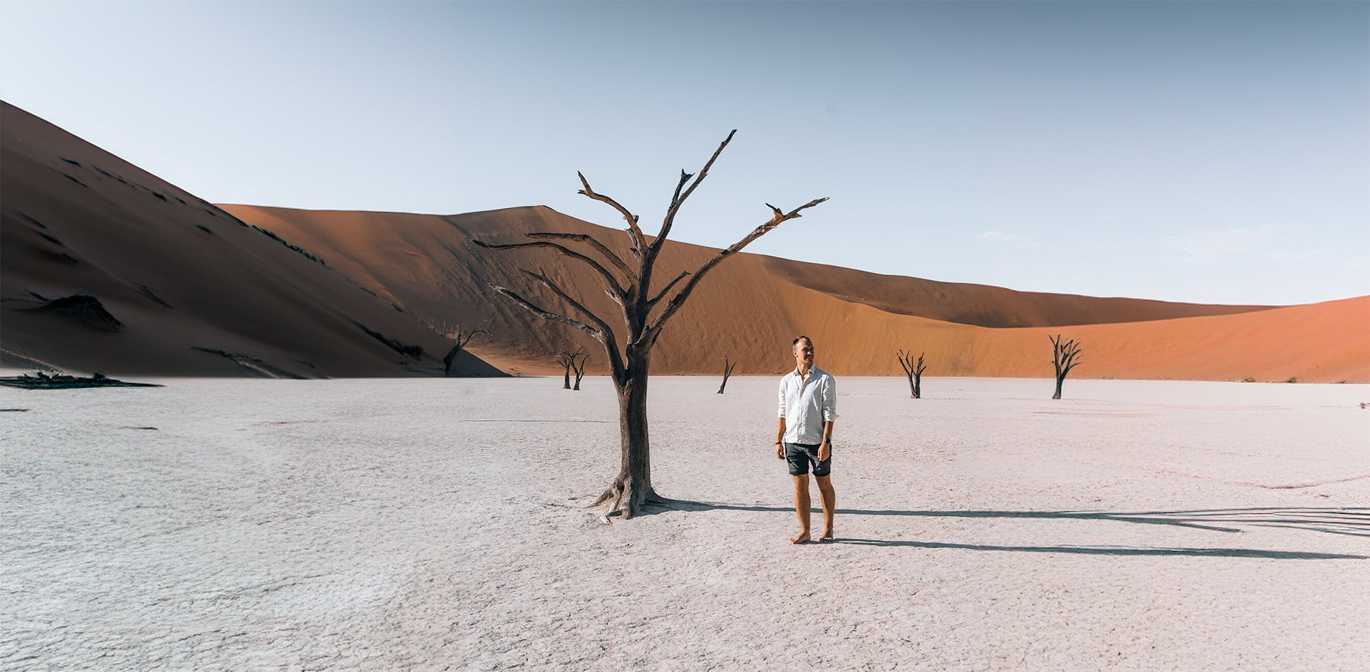 Person standing next to old tree in desert in Namibia