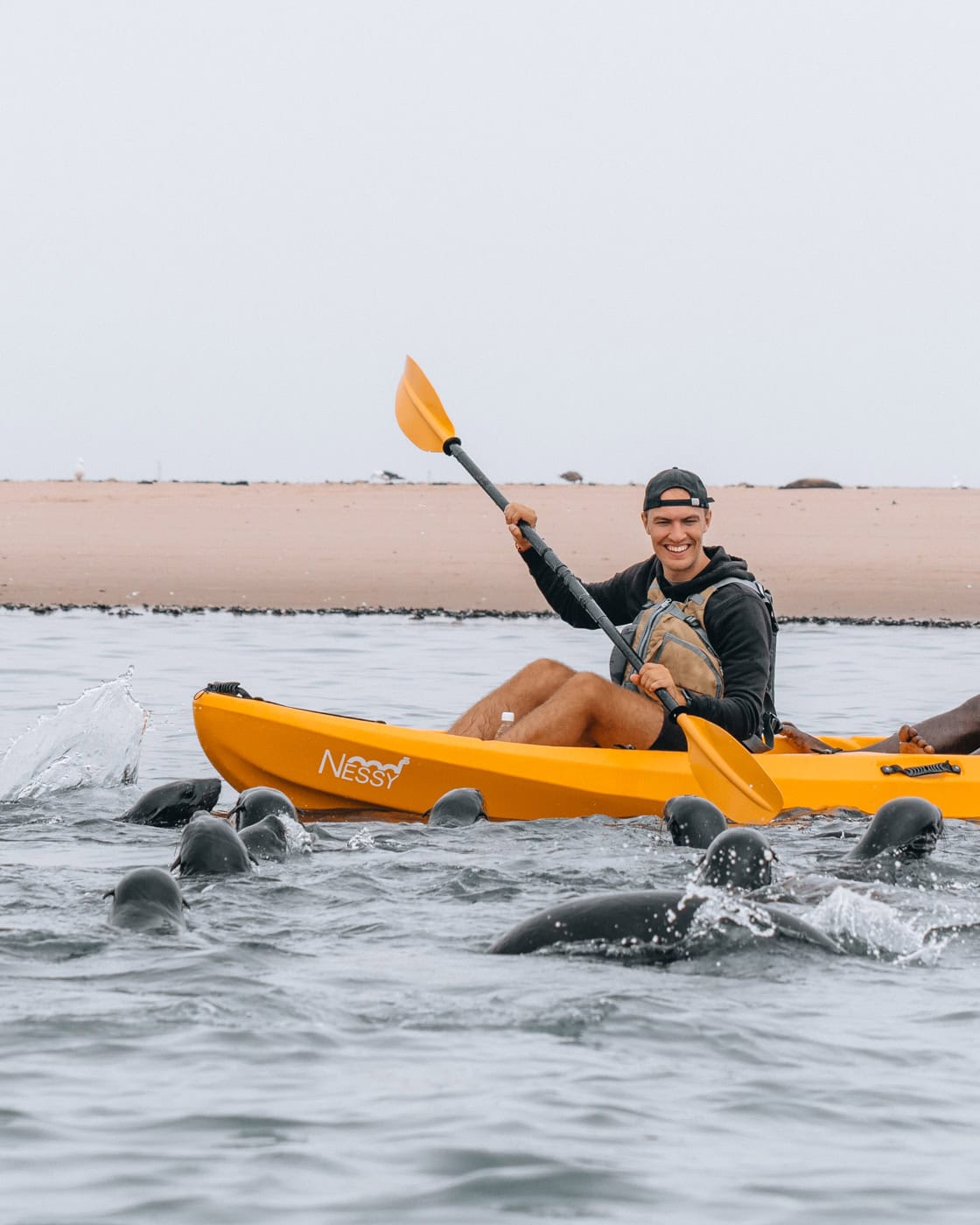 Man kayaking with seal