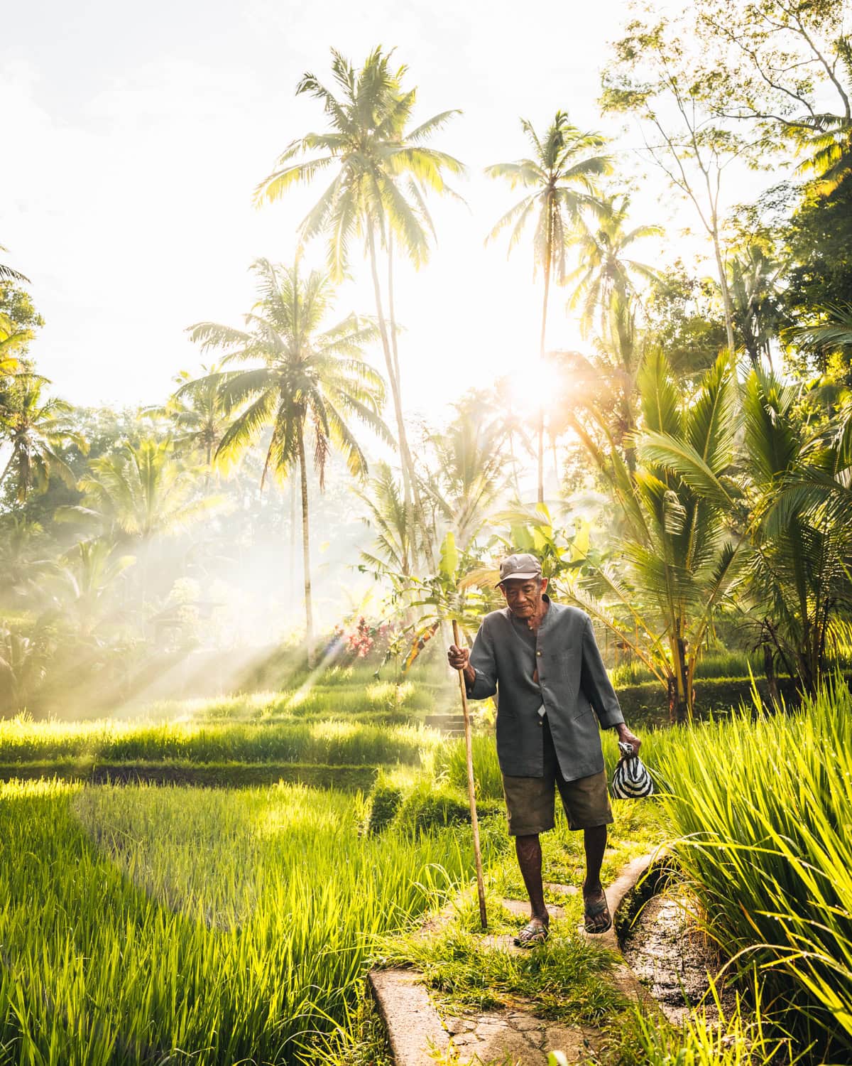 Local farmer walking through rice fields in Bali
