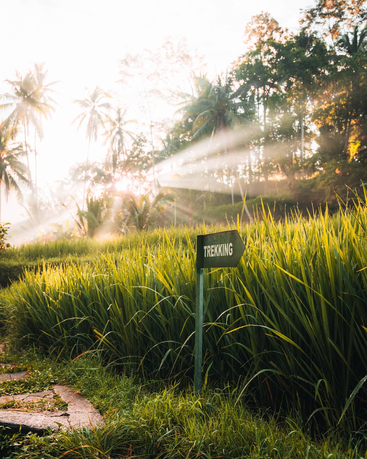 trekking sign in the midst of rice fields