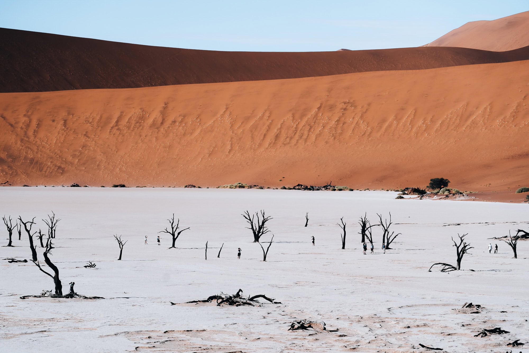 High view on Deadvlei, Namibia