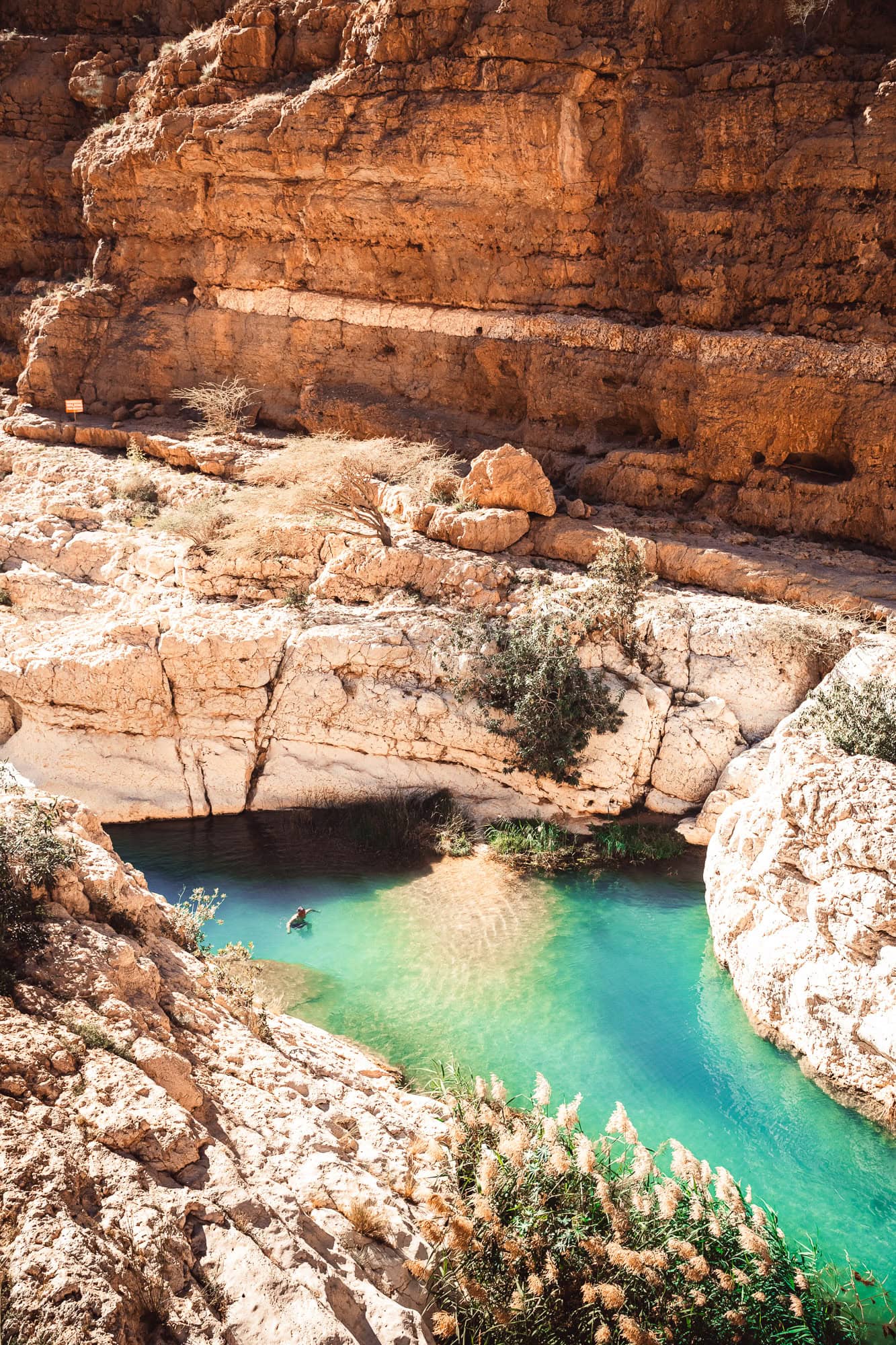 Person swimming in turquoise water of Wadi Shab, Oman