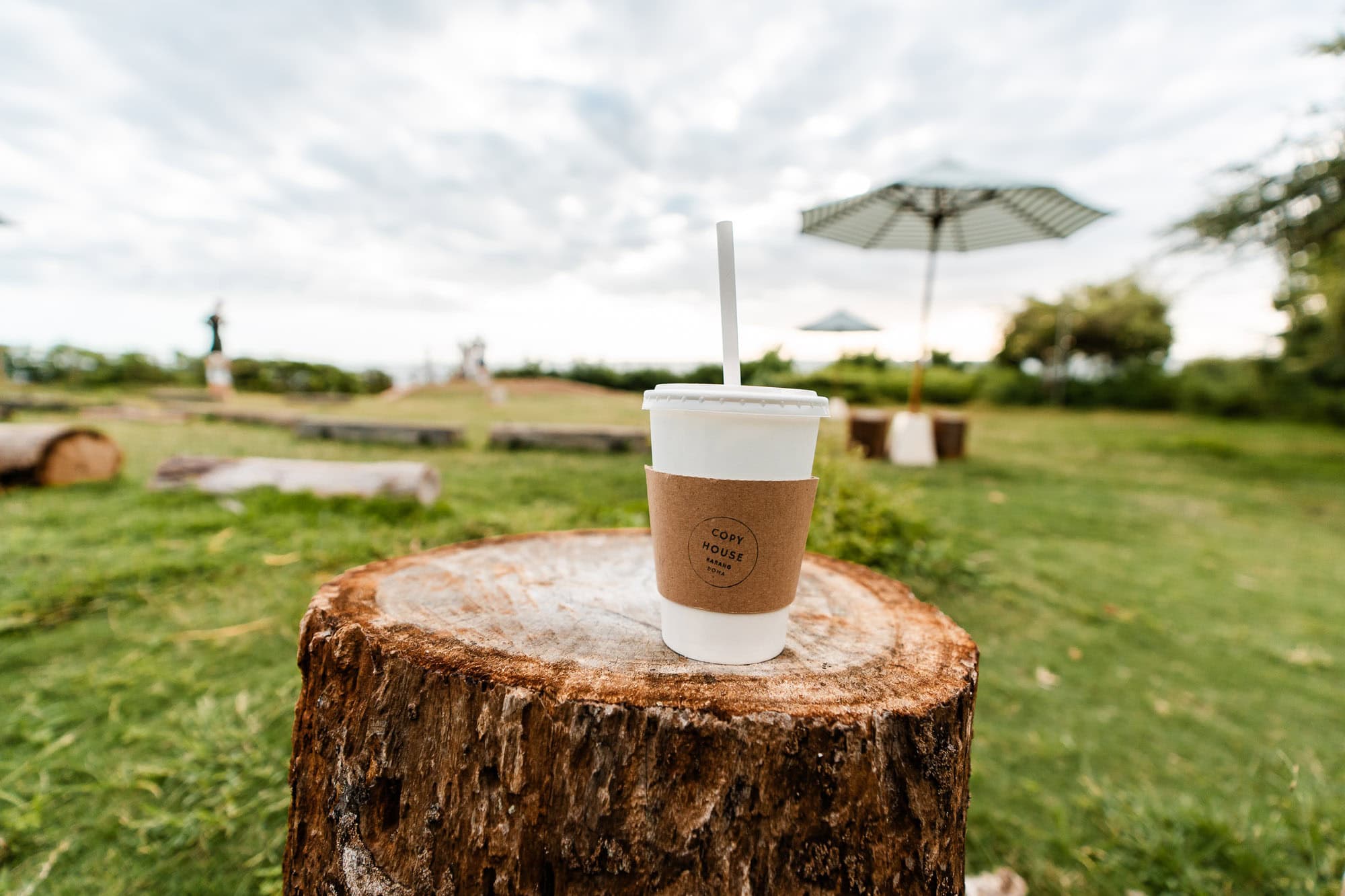 Drink on some wood at a picnic place
