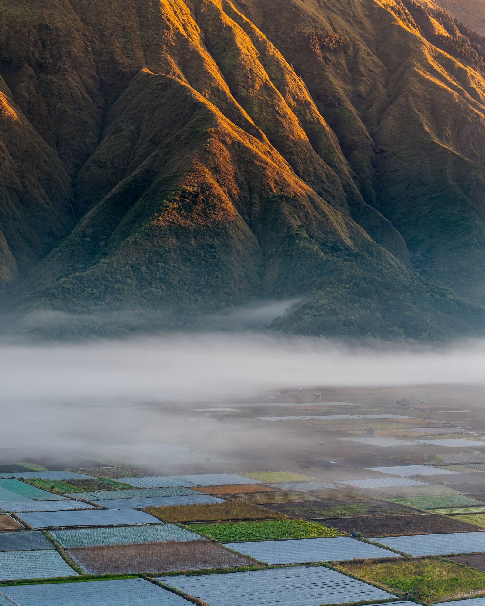Mountains in Sembalun, Lombok