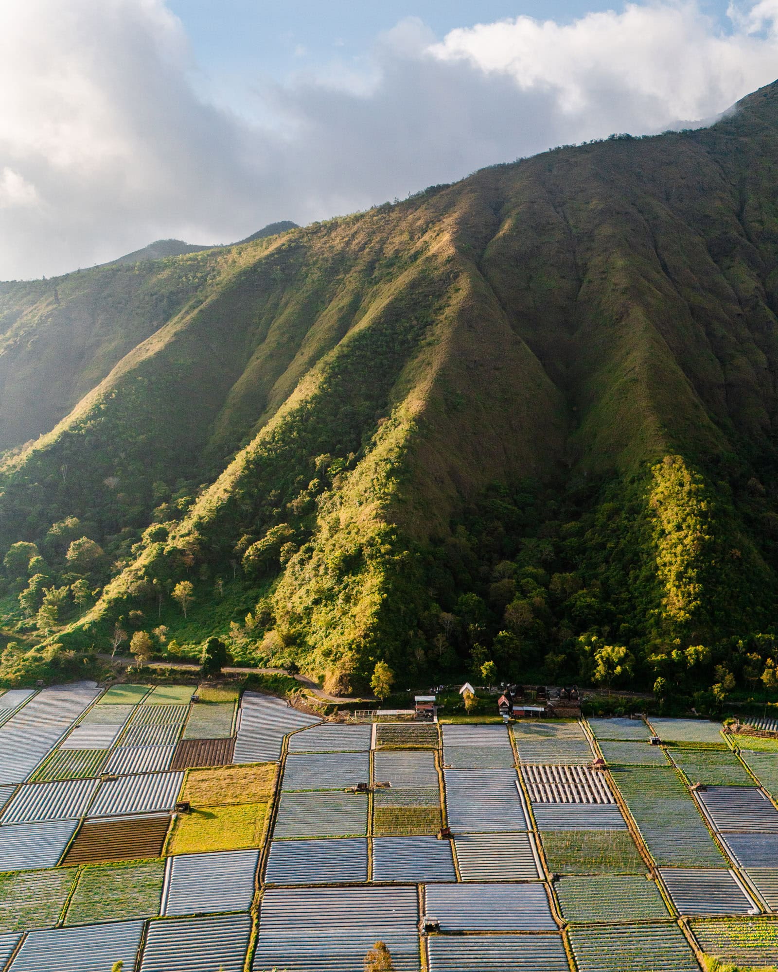 Farming fields and mountains in Indonesia