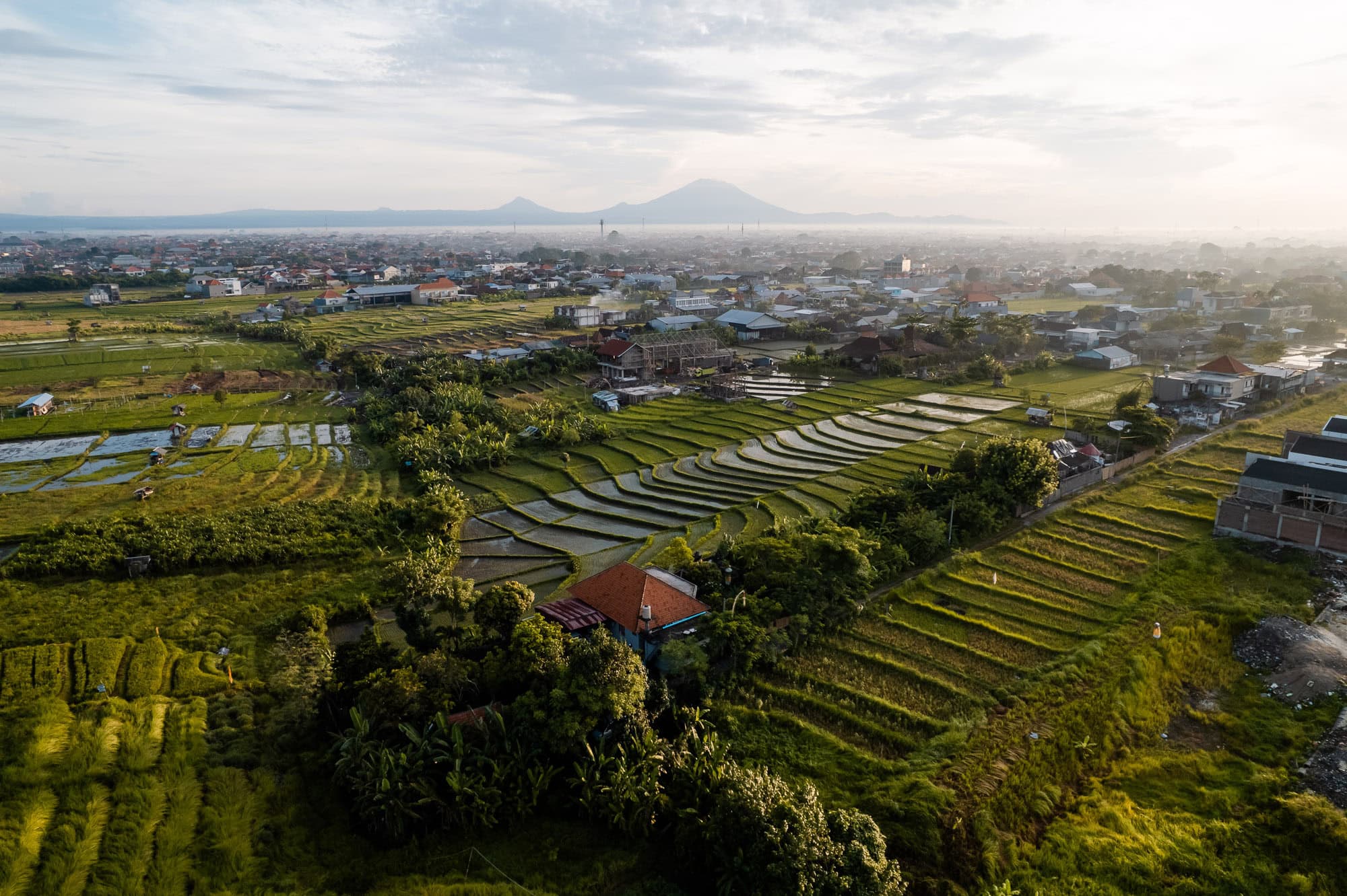 Rice fields and town views in Bali