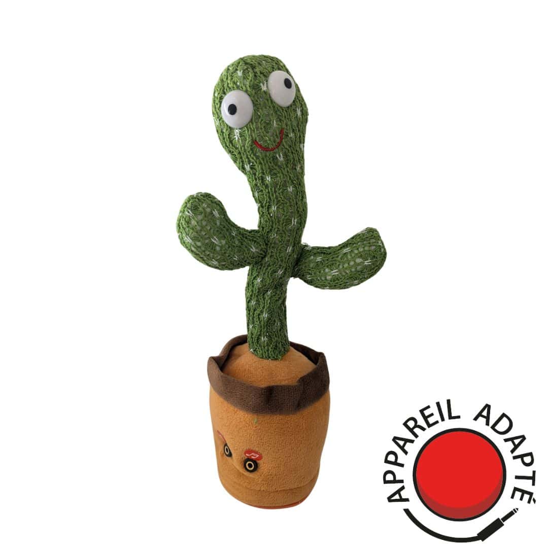 Cactus adapté contacteur – El Cactus Gringo interactif pour l’apprentissage du lien cause à effet