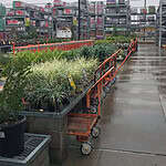 Durable casters supporting garden center plant displays and carts.