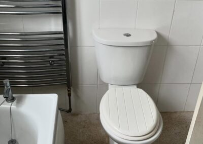 Bathroom with toilet, bathtub, and towel warmer.