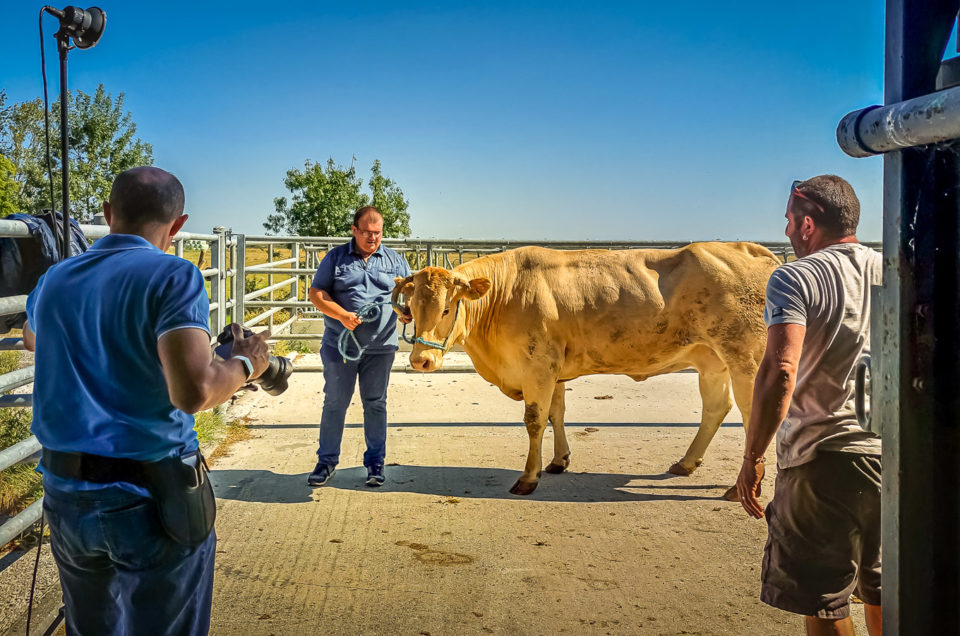 Portrait photo d’agriculteur pour la société M3-JCB-AGRI