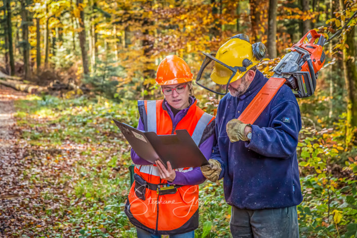 Reportage photo sylviculture dans le Jura
