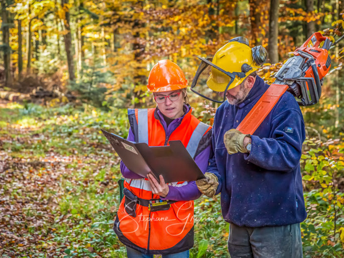 Reportage photo sylviculture dans le Jura