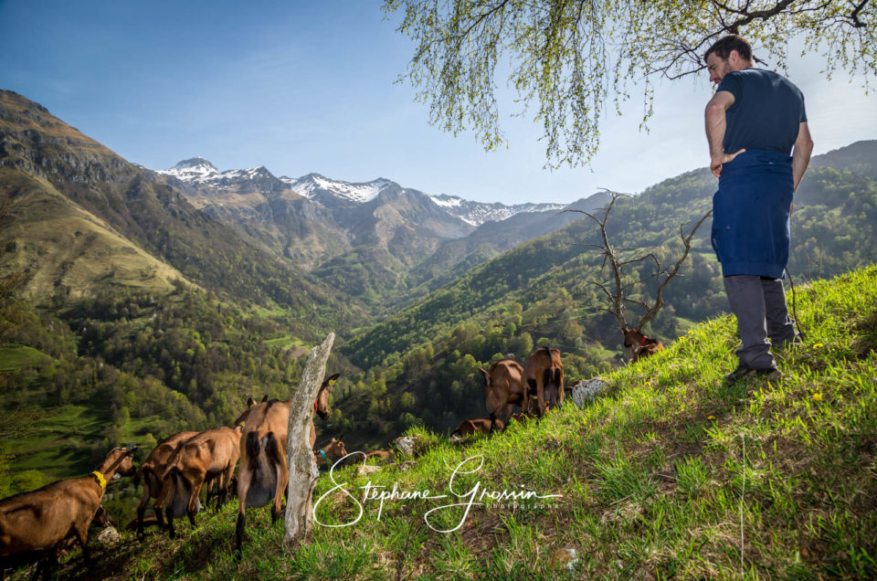 Promouvoir votre exploitation agricole grâce à la photographie professionnelle