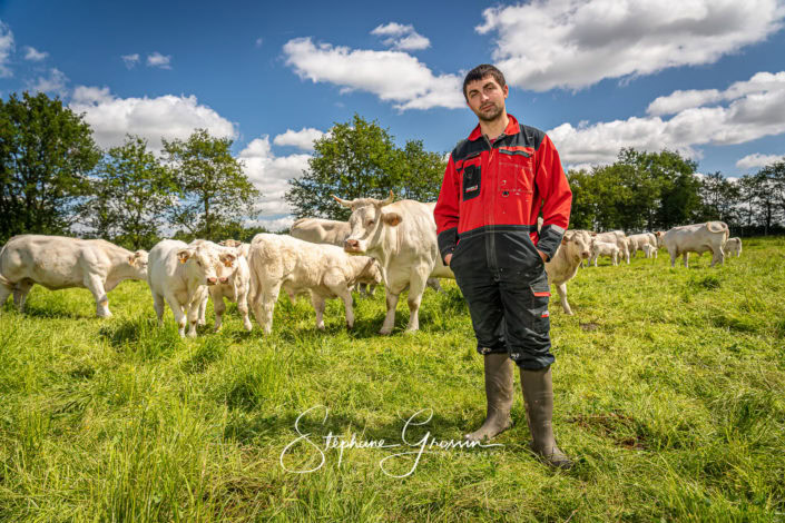 Portraits d’un éleveur de Charolaises en Vendée