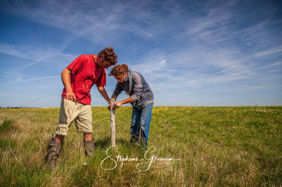 Images de marque agricole : l’art du photographe rural