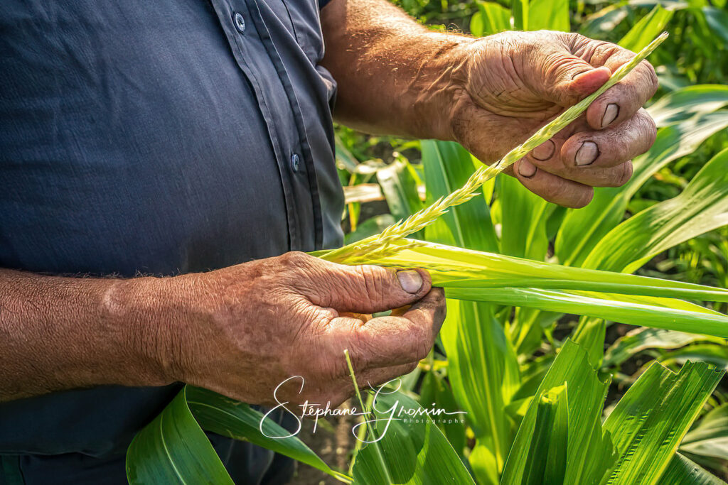 Comment trouver un bon photographe agricole