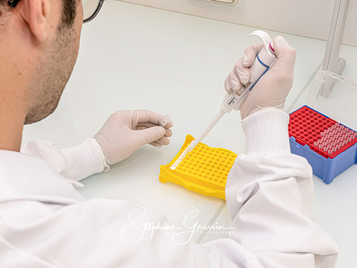 Reportage photo dans un laboratoire d’analyses vétérinaires