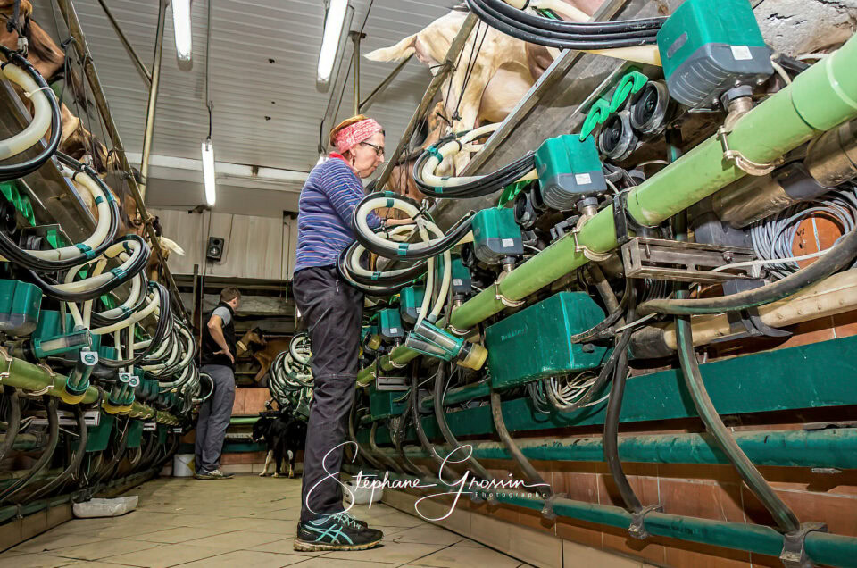 L’identité visuelle de votre ferme : stratégies de marketing agricole
