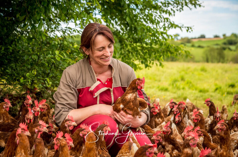 Reportage Photo dans un Élevage de Poules Pondeuses en Plein Air de Loué