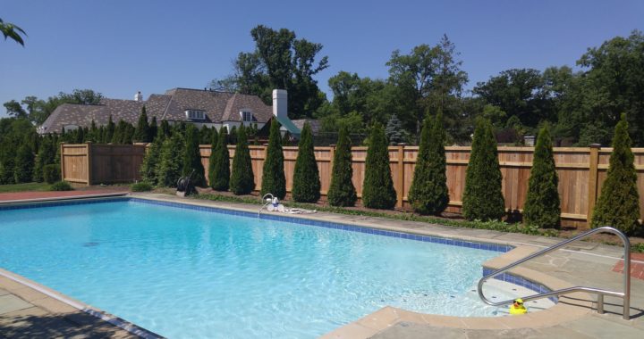 Cedar fencing around pool deck