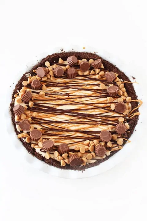 Decadent chocolate and peanut butter dessert cake with chocolate chips and drizzle.