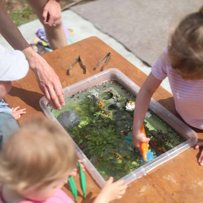 Colorful outdoor water play activity for children on a sunny day, encouraging sensory exploration and nature-themed fun.