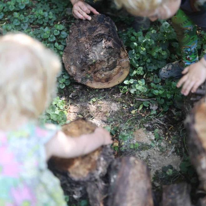 Child exploring nature, climbing over logs in a lush forest environment.